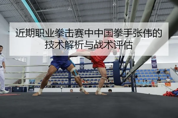 近期职业拳击赛中中国拳手张伟的技术解析与战术评估