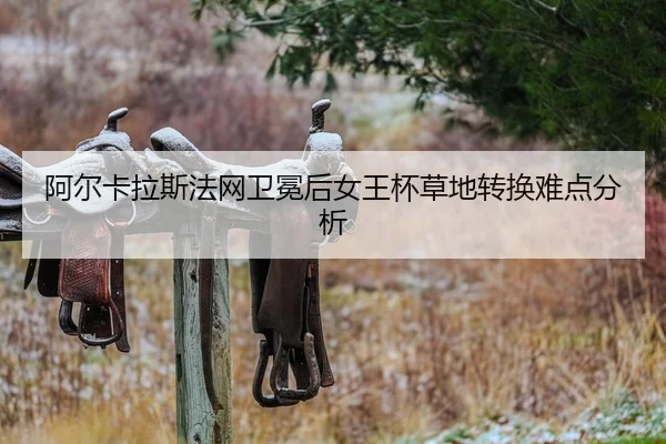 a-er-ka-la-si-fa-wang-wei-mian-hou-nv-wang-bei-cao-di-zhuan-huan-nan-dian-fen-xi-2-848.jpg