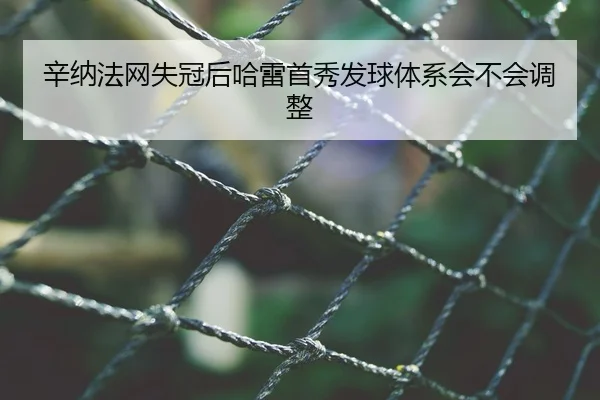 辛纳法网失冠后哈雷首秀发球体系会不会调整
