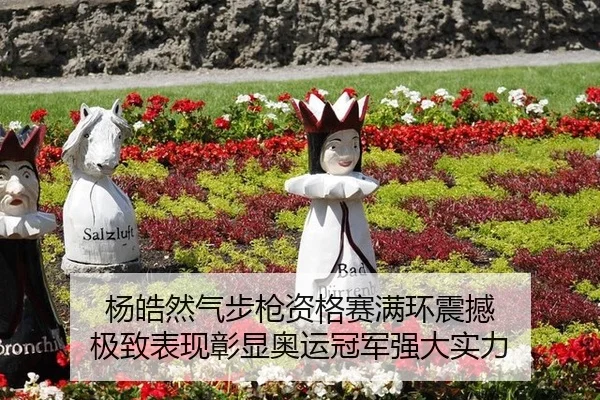 杨皓然气步枪资格赛满环震撼 极致表现彰显奥运冠军强大实力