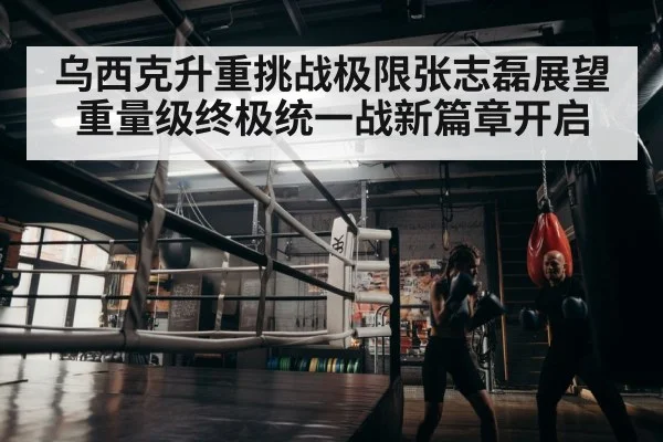 boxer training